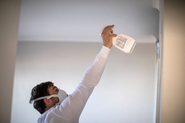 Best Mold Testing  in Manchester, NH