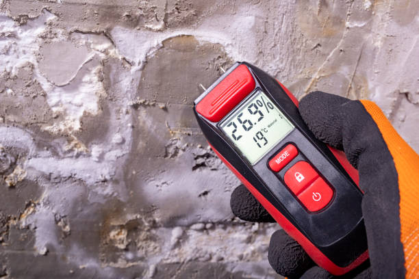 Home Mold Removal in Manchester, NH